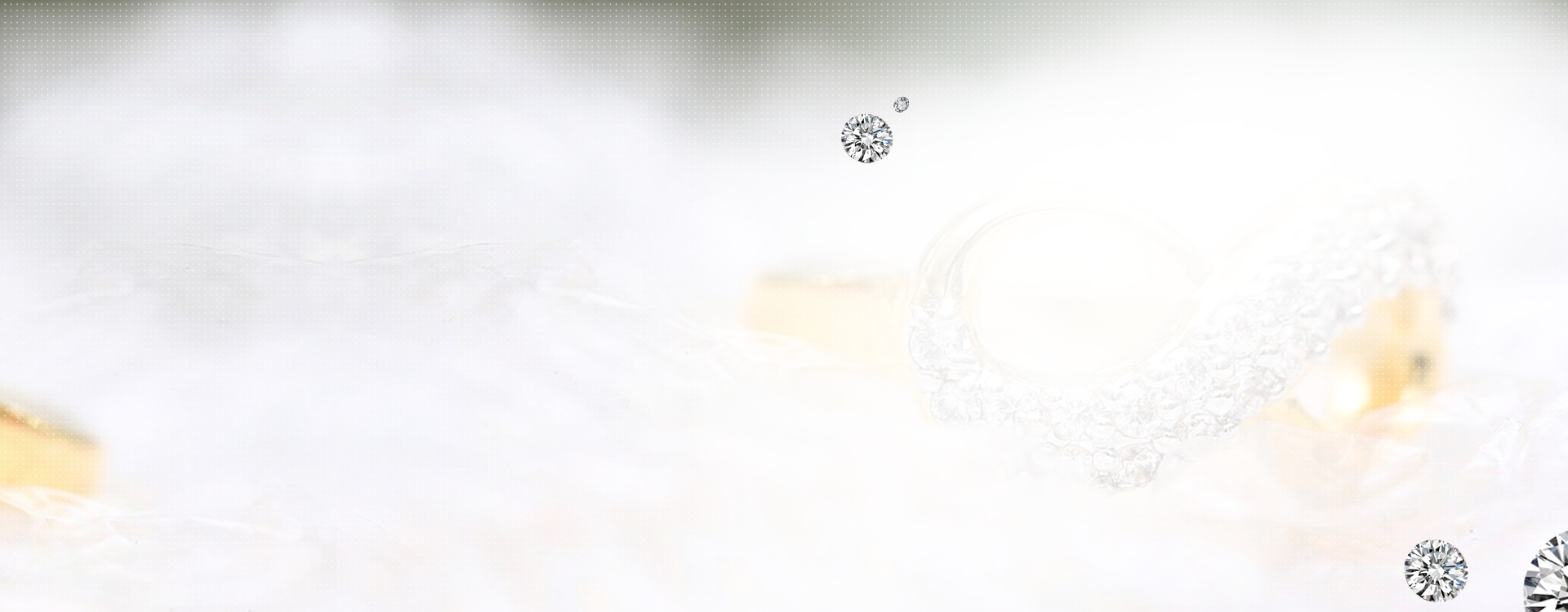 banner2_02
